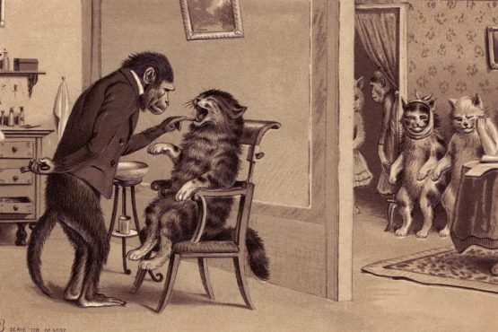 Monkey Dentist