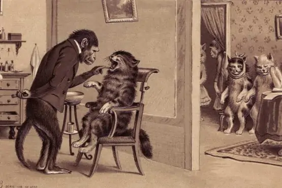 Monkey Dentist