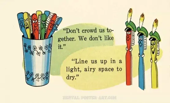 Toby Bright Brushes