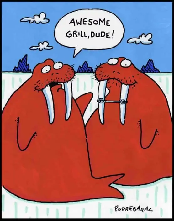 Nice Grill