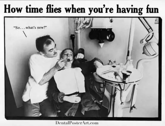 Time Flies